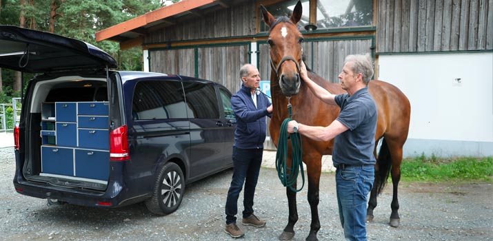 YouTube Videopodcast mit Dr. med. vet. Ralf Pellmann – Fachtierarzt für Pferde