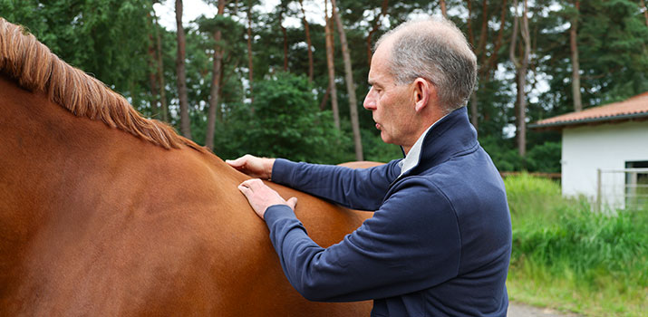 YouTube Videopodcast mit Dr. med. vet. Ralf Pellmann – Fachtierarzt für Pferde