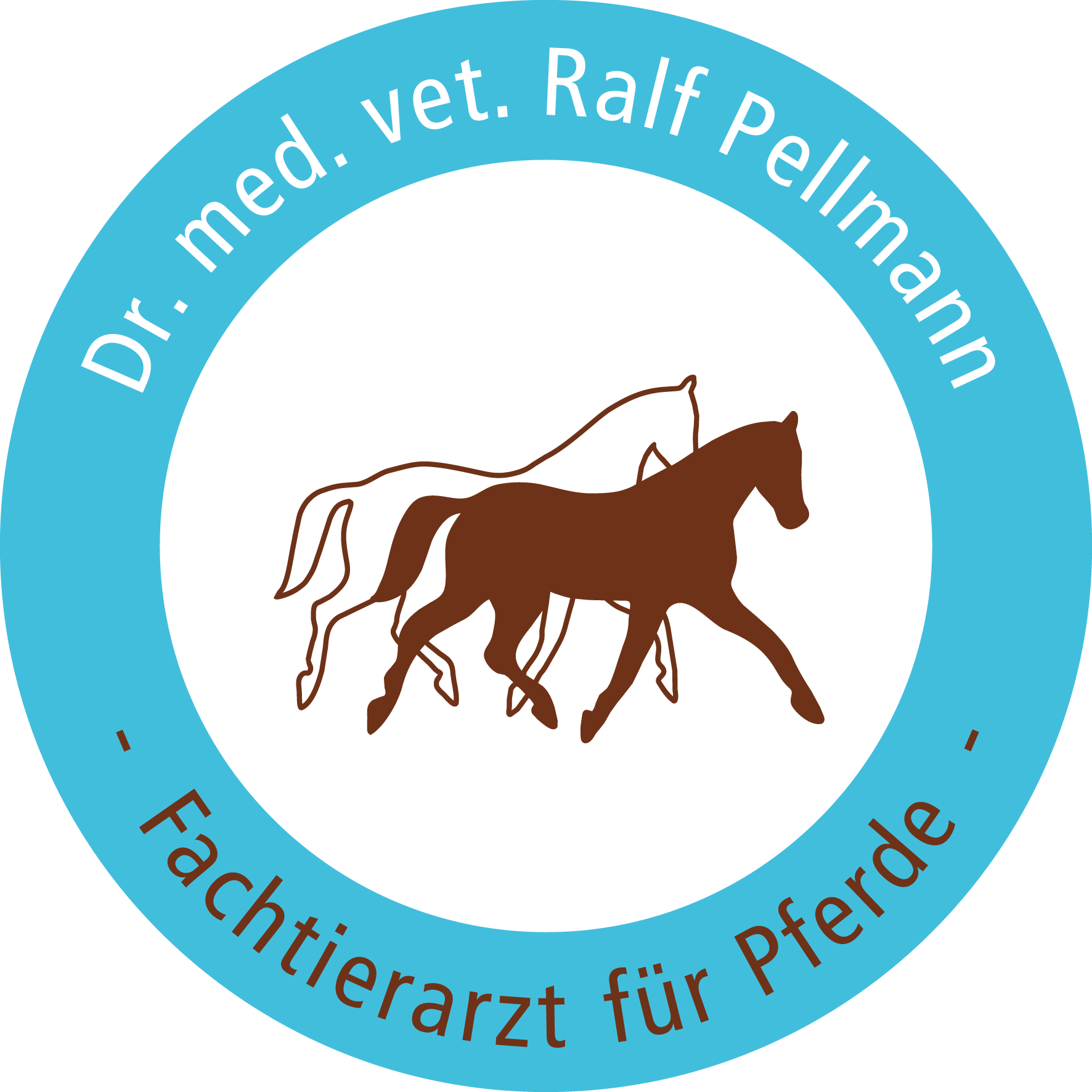 Dr. med. vet. Ralf Pellmann – Fachtierarzt für Pferde