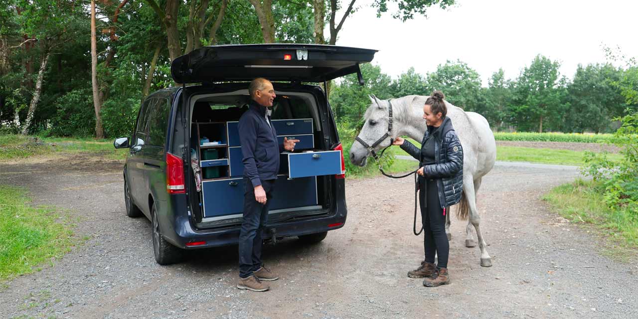 Dr. med. vet. Ralf Pellmann – Fachtierarzt für Pferde