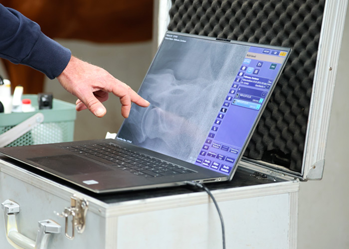 Röntgenuntersuchung – Dr. med. vet. Ralf Pellmann – Fachtierarzt für Pferde