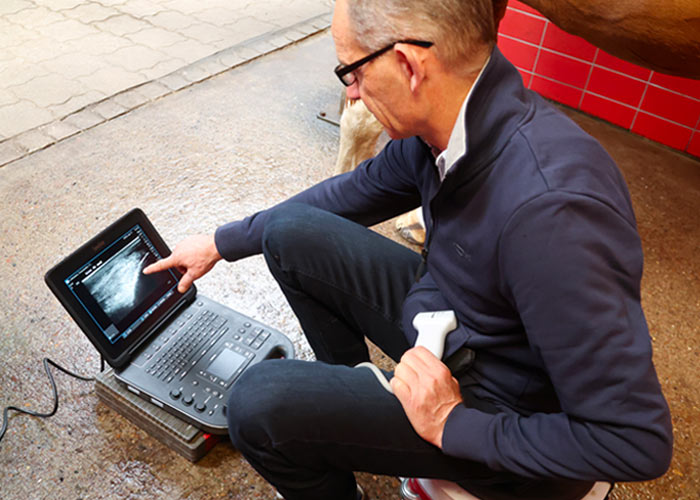 Sonographie – Dr. med. vet. Ralf Pellmann – Fachtierarzt für Pferde